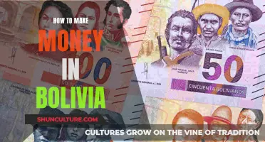 Making Money in Bolivia: A Comprehensive Guide