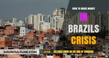 Surviving Brazil's Crisis: Innovative Ways to Boost Your Income