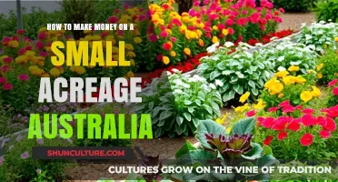 Small Acreage, Big Profits: Strategies for Australian Farmers
