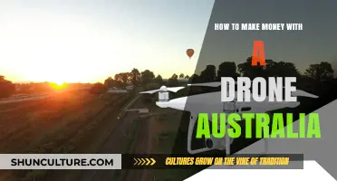 Drone Money-Making Opportunities in Australia