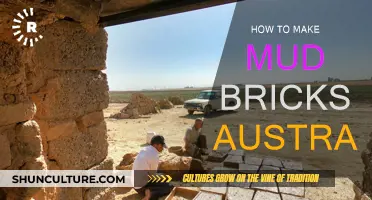 Make Mud Bricks: An Australian DIY Guide