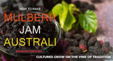 Jamming Mulberry Magic in Australia