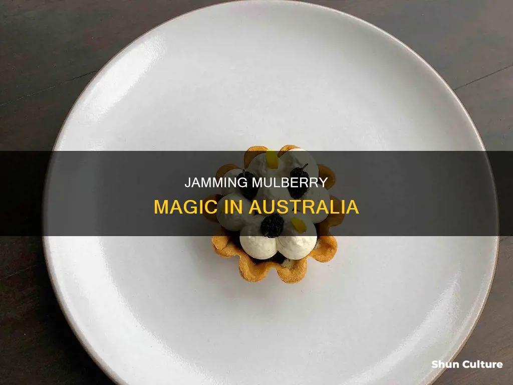 how to make mulberry jam australia
