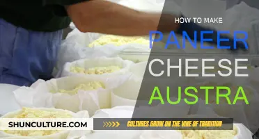 Making Paneer Cheese: An Australian Guide