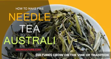 Making Pine Needle Tea: An Australian Guide