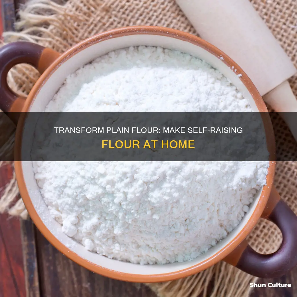 how to make plain flour into self raising flour australia