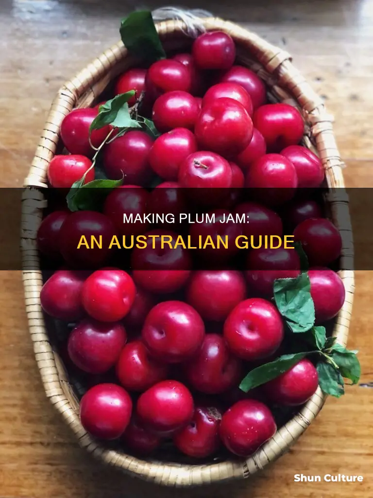 how to make plum jam australia