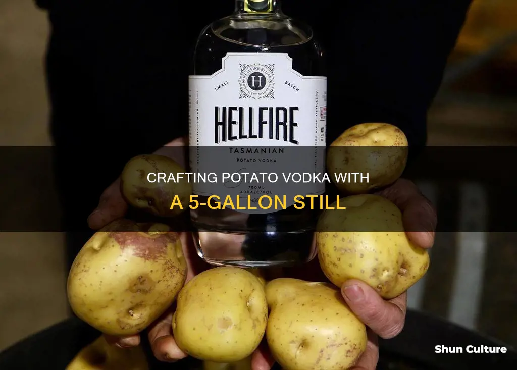 how to make potato vodka with 5 gallon australia still