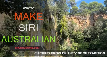 Customizing Siri: An Australian Twist