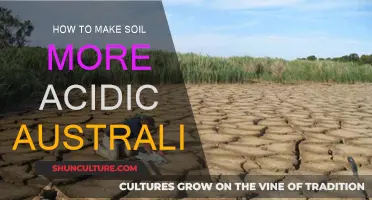 Australian Gardening: Making Soil Acidic