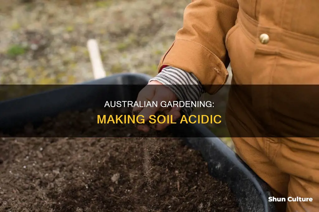 how to make soil more acidic australia