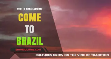 Discover Brazil's Allure: Tips to Entice Anyone to Visit Brazil