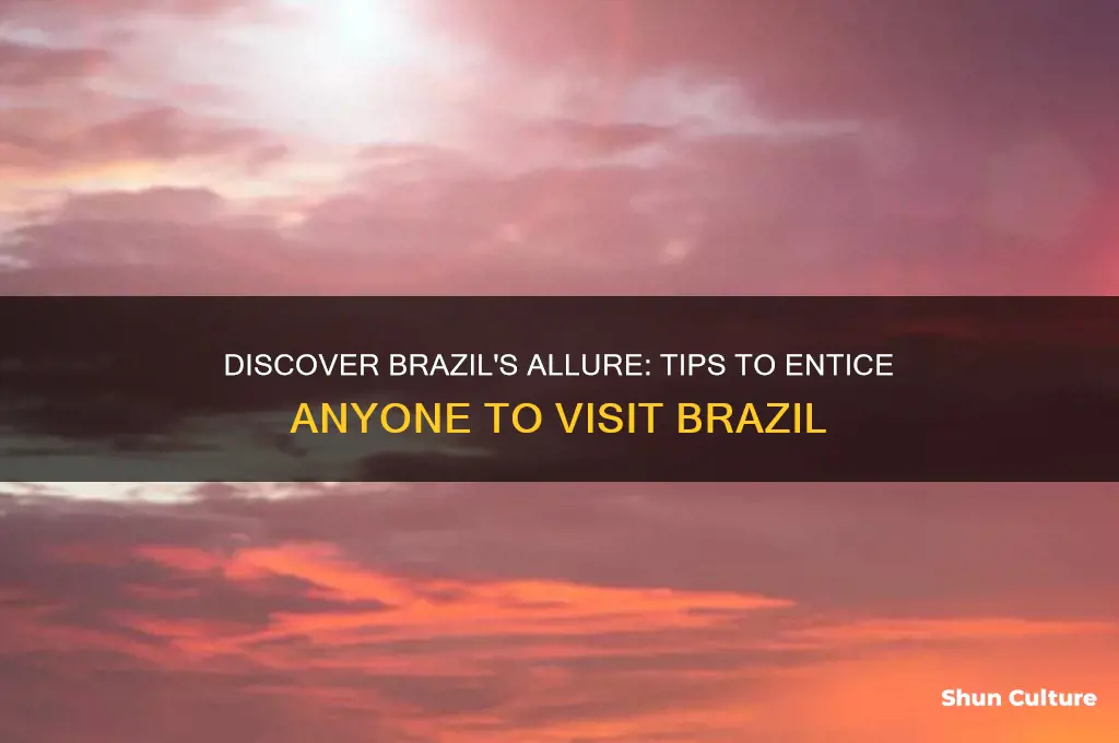how to make someone come to brazil
