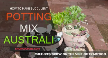Succulent Potting Mix: Australia's Guide to Success