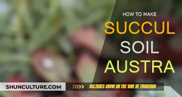 Make Your Own Succulent Soil: An Australian Guide