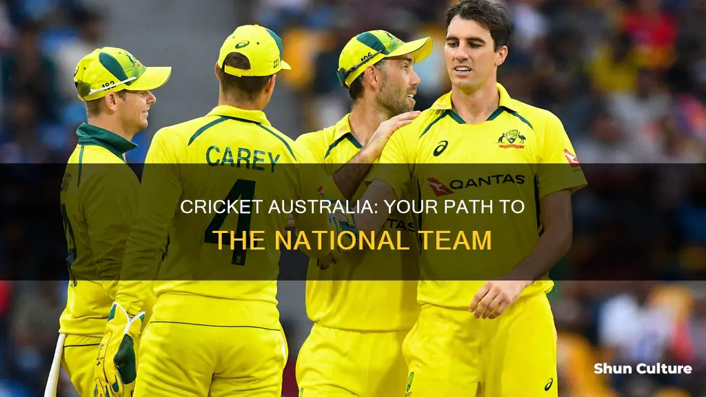 how to make the australian cricket team