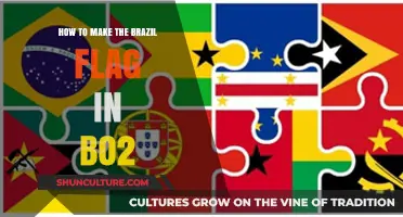 Crafting the Brazilian Flag in Call of Duty: Black Ops 2