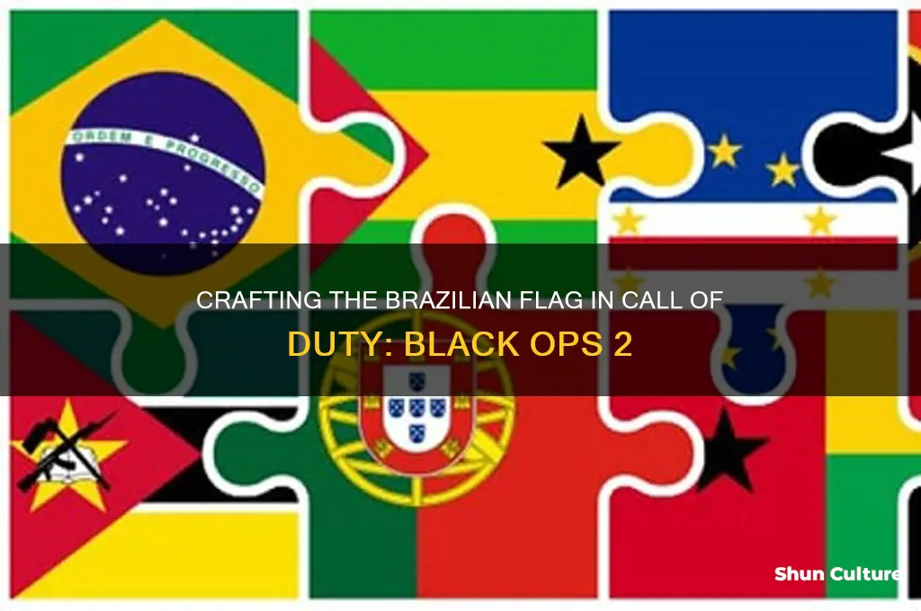 how to make the brazil flag in bo2