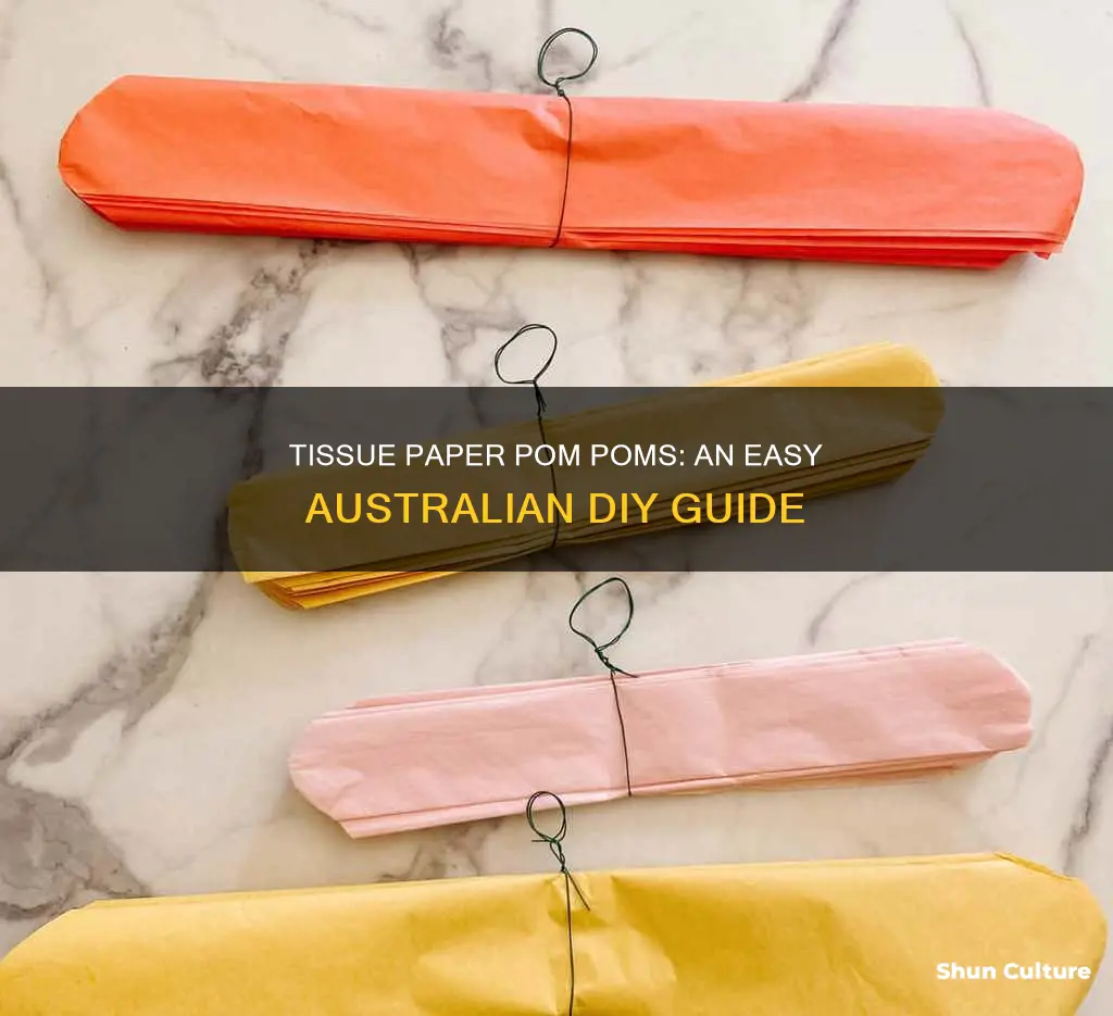 how to make tissue paper pom poms australia