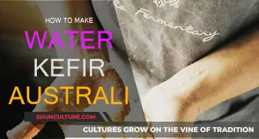 The Ultimate Guide to Making Water Kefir in Australia