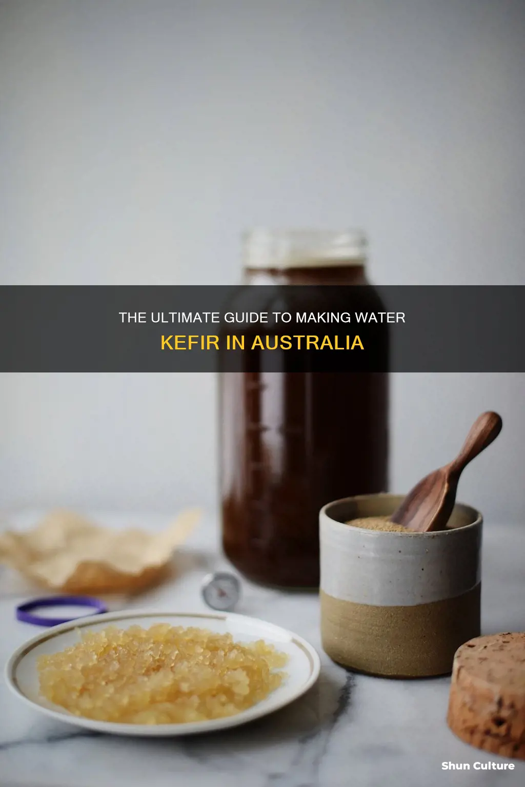 how to make water kefir australia