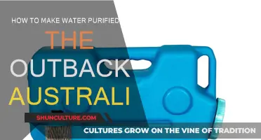 Purifying Water in Outback Australia: A Survival Guide