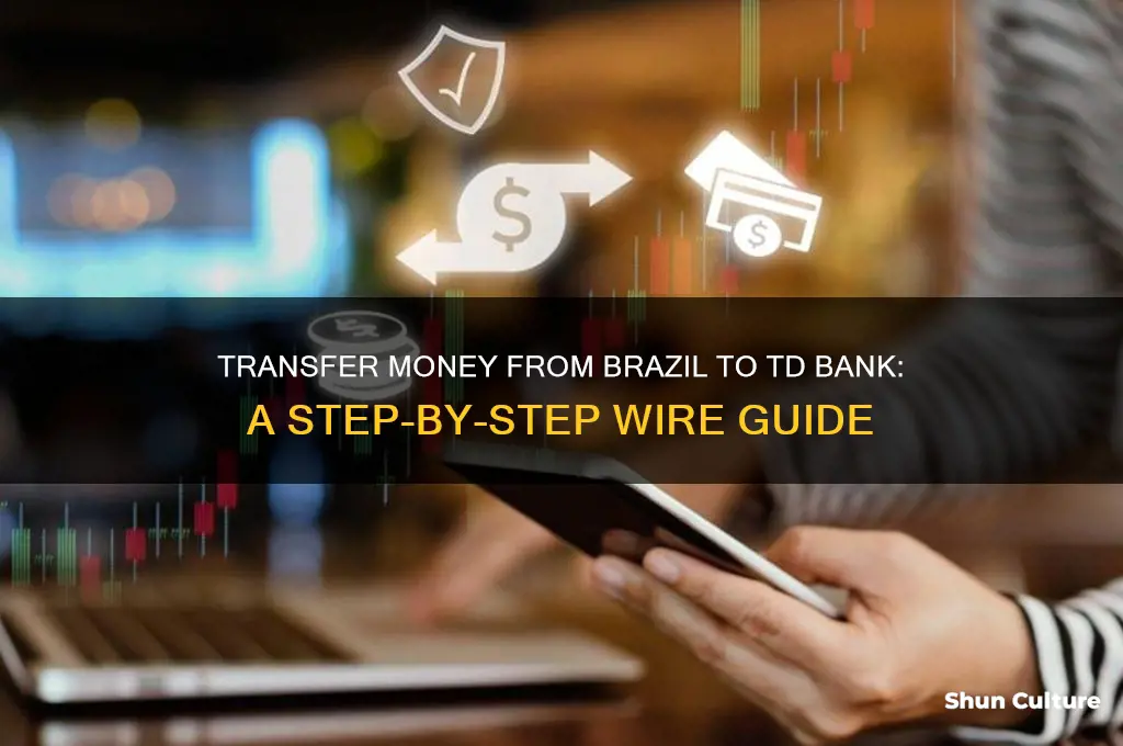how to make wire transfer from brazil to td bank