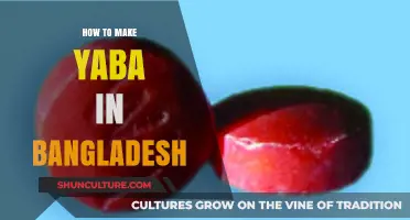 Exploring the Dark Side: Yaba Production in Bangladesh Unveiled
