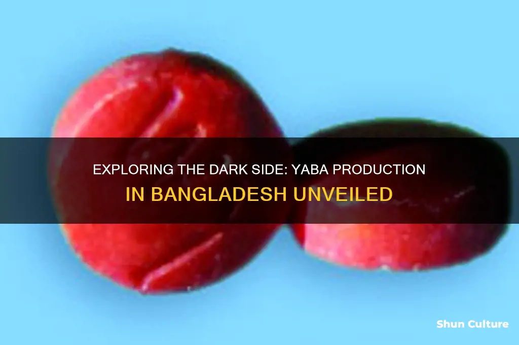how to make yaba in bangladesh