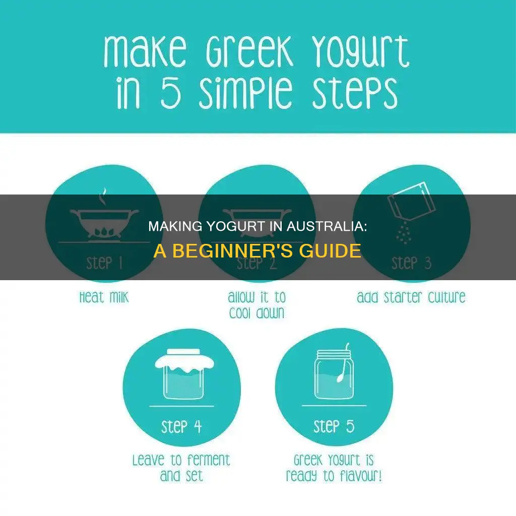 how to make yoghurt australia