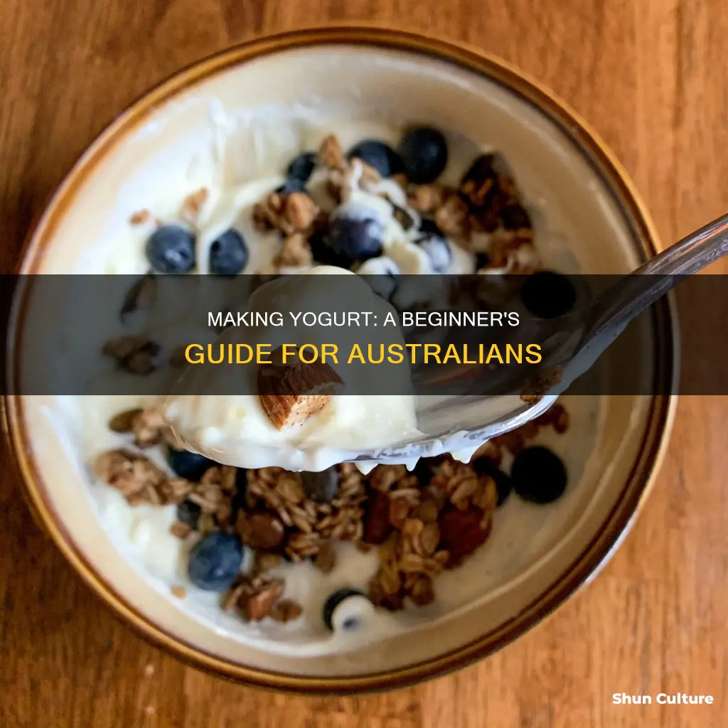 how to make yogurt from scratch australia