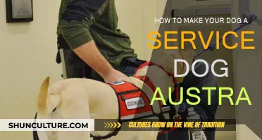 Training Your Dog: Australian Service Dog Style