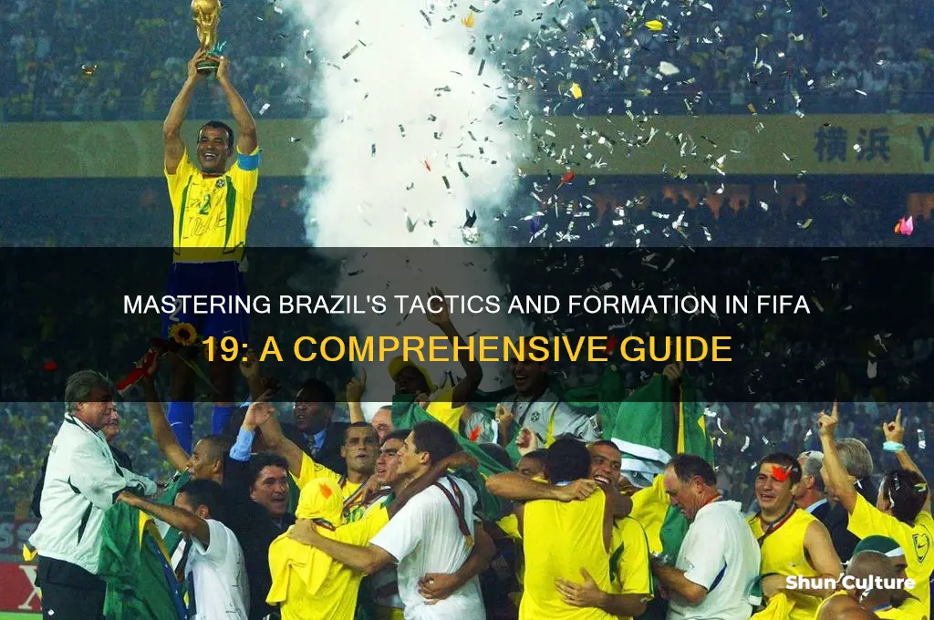 how to manage brazil in fifa 19