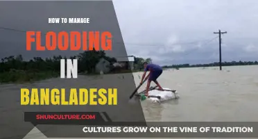Effective Strategies to Mitigate and Manage Flooding in Bangladesh