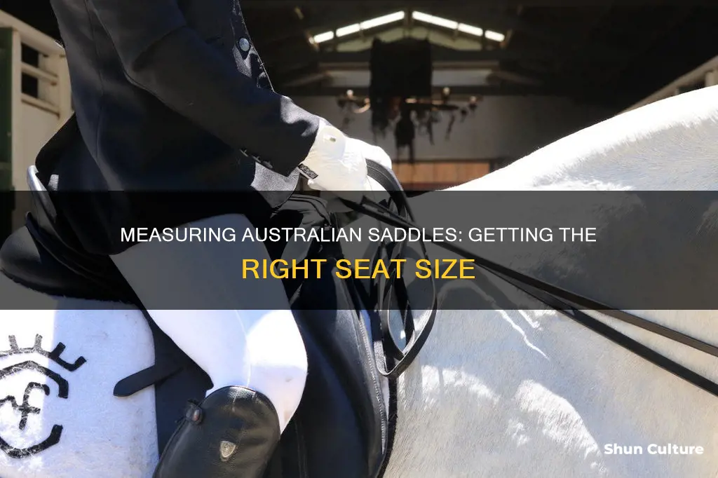 how to measure australian saddle seat size
