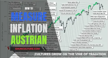 Understanding Austrian Economics: A Guide to Measuring Inflation