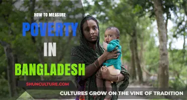 Measuring Poverty in Bangladesh: Methods, Challenges, and Insights