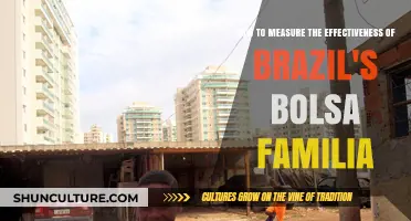 Evaluating Bolsa Família: Measuring Brazil's Landmark Social Program Effectiveness