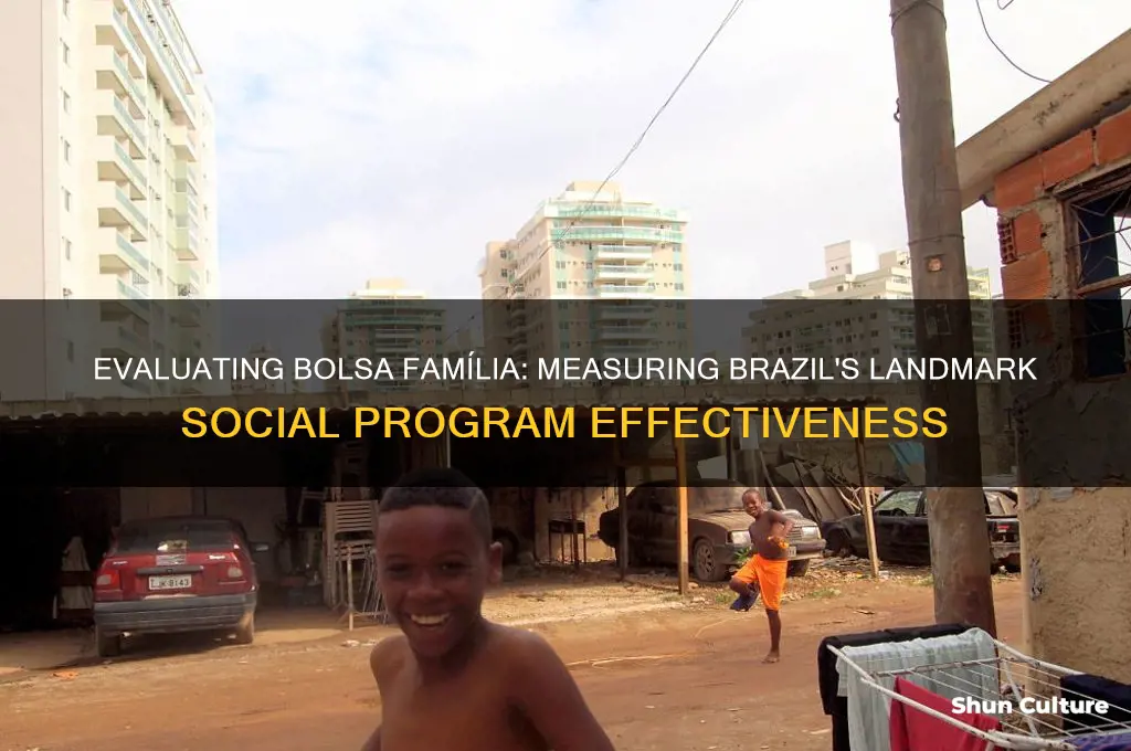 how to measure the effectiveness of brazil