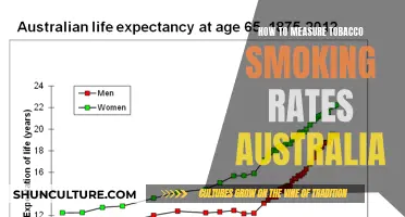 Measuring Tobacco Smoking Rates: Australia's Progress