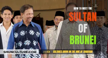 Meeting the Sultan: A Guide to Brunei's Royalty