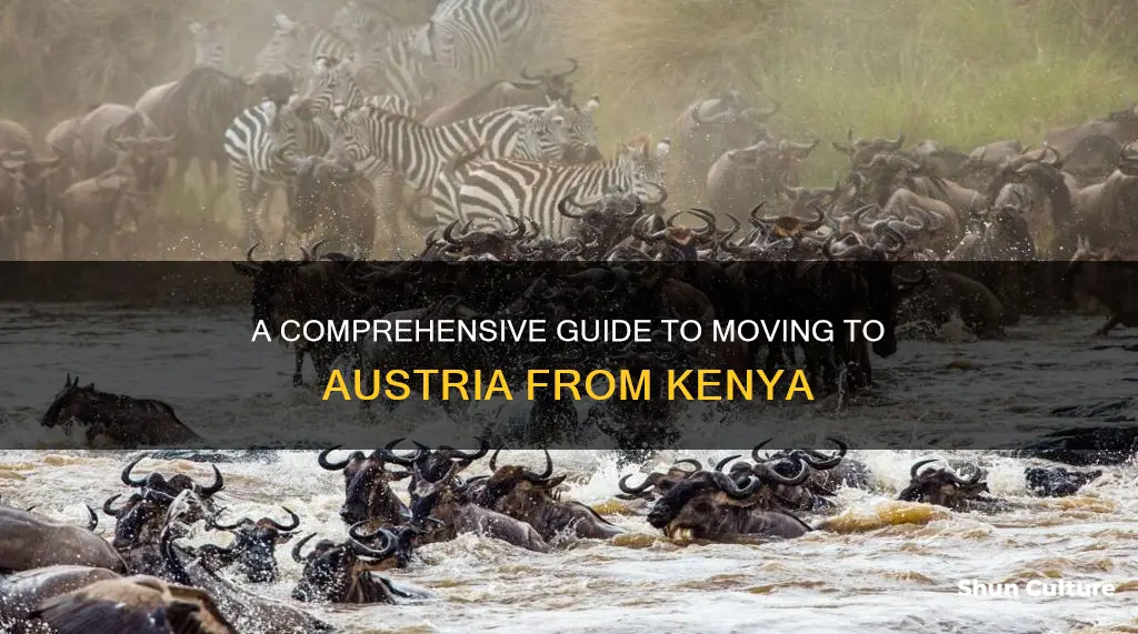 how to migrate to austria from kenya