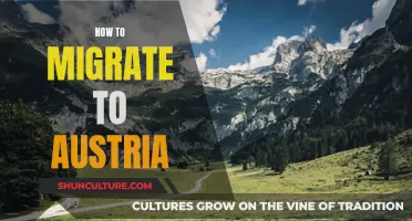 A Comprehensive Guide: Migrating to Austria: Steps, Tips, and Insights