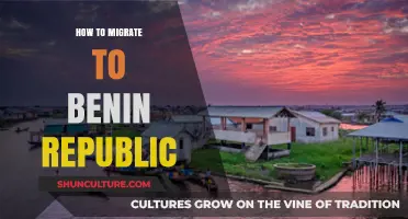 Exploring New Horizons: A Guide to Migrating to Benin Republic