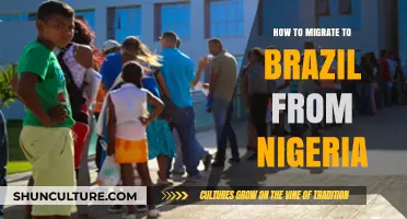 Moving to Brazil: A Nigerian's Guide to Relocating Successfully