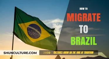 Your Essential Guide to Migrating to Brazil Successfully