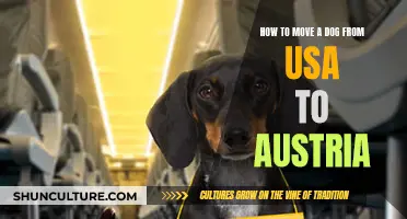 Relocating Your Dog: A Guide to Moving from USA to Austria