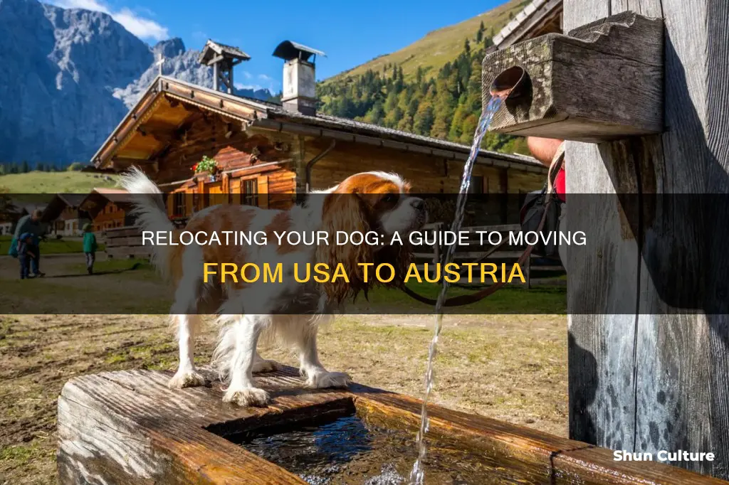 how to move a dog from usa to austria