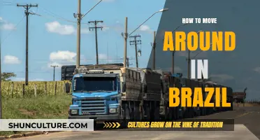 Navigating Brazil: Essential Tips for Moving Around Safely and Efficiently