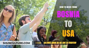 Moving from Bosnia to USA: A Comprehensive Guide for Immigrants